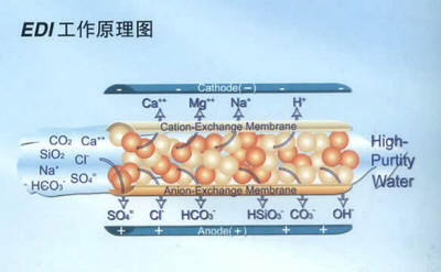 電除鹽EDI設備